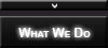 What We Do